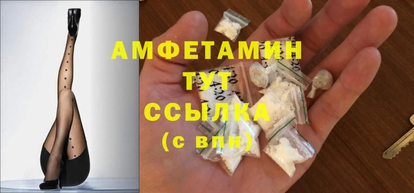 индика Абаза