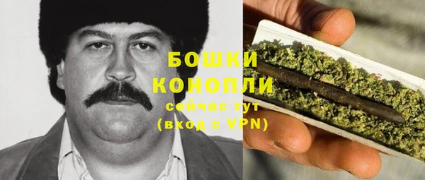 индика Абаза