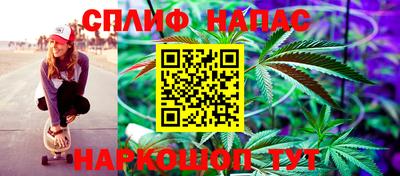 амф Гусев