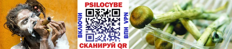 Галлюциногенные грибы GOLDEN TEACHER  Хабаровск 