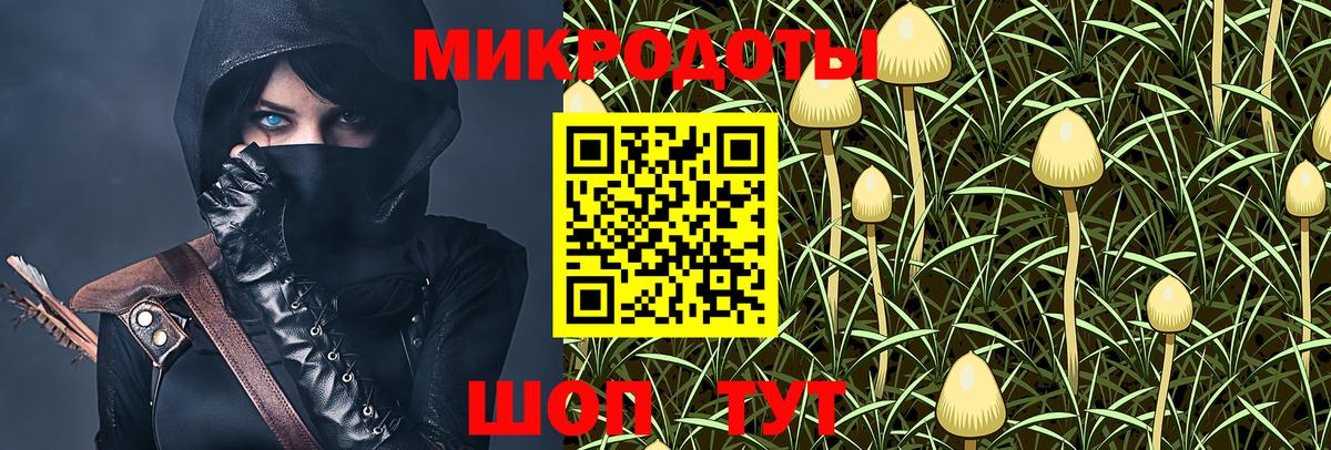 Хабаровск  Псилоцибиновые грибы мицелий  Вход с VPN 